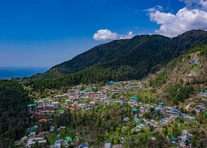 Alt Life - DharamkotHostel